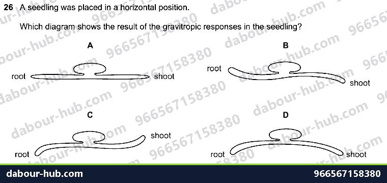 IGCSE Biology 14.7 Tropic responses - Question 5