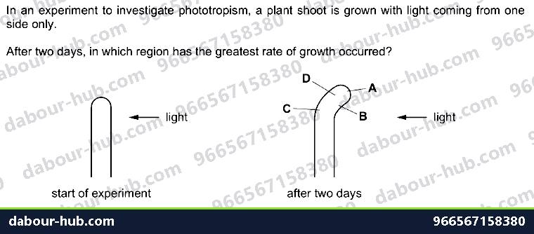 IGCSE Biology 14.7 Tropic responses - Question 6
