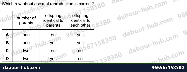 IGCSE Biology 16.1 Asexual reproduction - Question 11