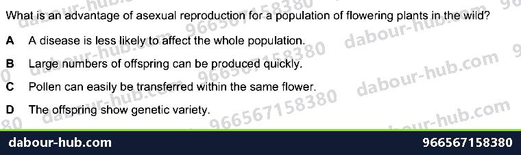 IGCSE Biology 16.1 Asexual reproduction - Question 2