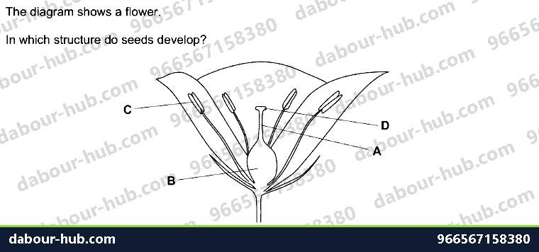 IGCSE Biology 16.3 Sexual reproduction in plants - Question 1