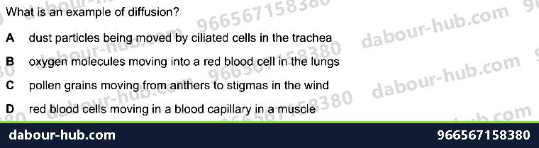 IGCSE Biology 16.3 Sexual reproduction in plants - Question 14