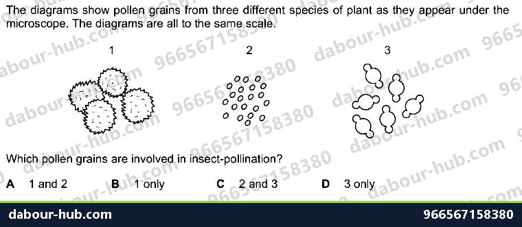 IGCSE Biology 16.3 Sexual reproduction in plants - Question 2