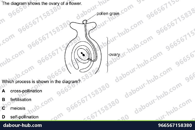 IGCSE Biology 16.3 Sexual reproduction in plants - Question 7
