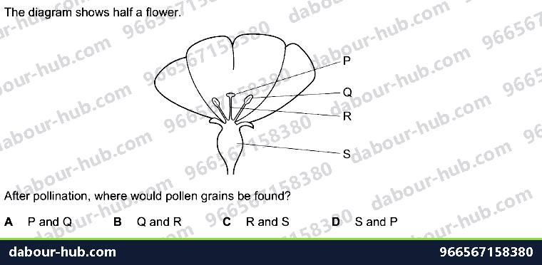 IGCSE Biology 16.3 Sexual reproduction in plants - Question 9