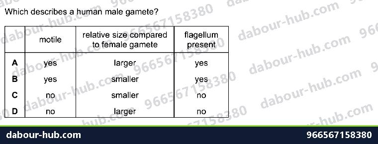 IGCSE Biology 16.4 Sexual reproduction in humans - Question 10