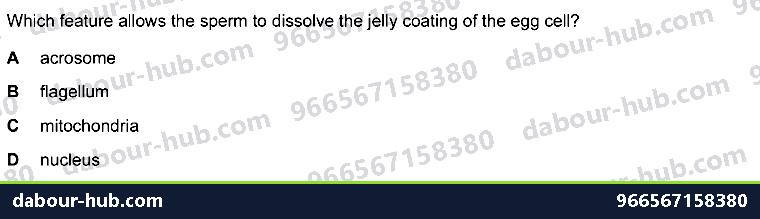 IGCSE Biology 16.4 Sexual reproduction in humans - Question 5