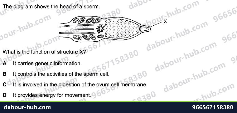 IGCSE Biology 16.4 Sexual reproduction in humans - Question 7