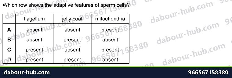 IGCSE Biology 16.4 Sexual reproduction in humans - Question 9