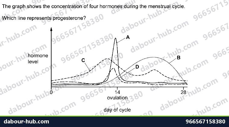 IGCSE Biology 16.5 Sex hormones in humans - Question 10