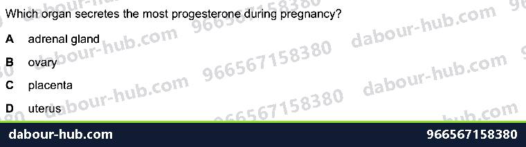 IGCSE Biology 16.5 Sex hormones in humans - Question 11