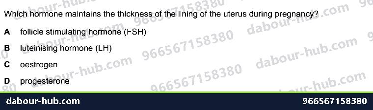 IGCSE Biology 16.5 Sex hormones in humans - Question 12