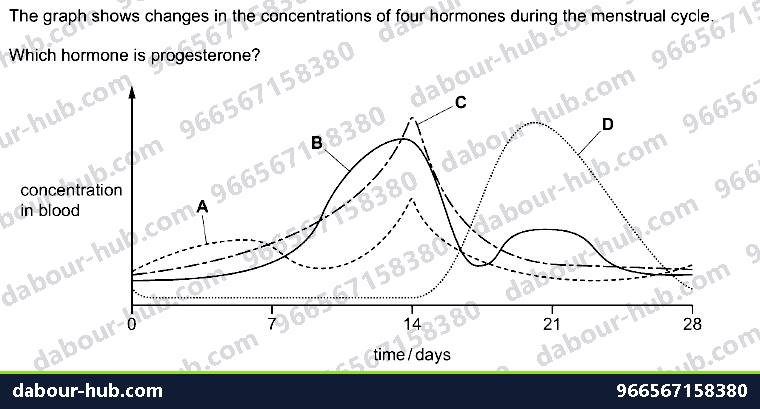 IGCSE Biology 16.5 Sex hormones in humans - Question 4