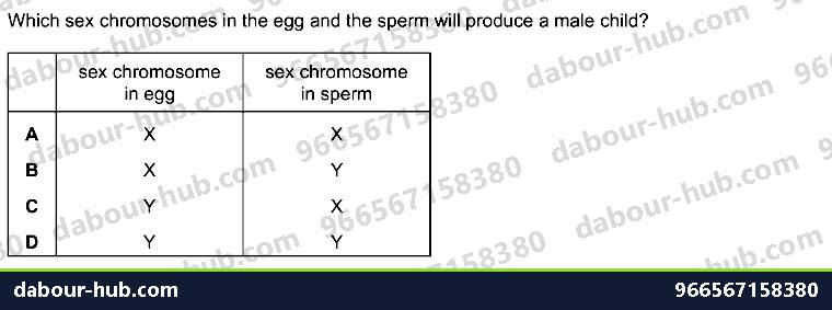 IGCSE Biology 17.1 DNA, Chromosomes, genes and ALLELES (X, Y) - Question 13