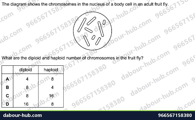 IGCSE Biology 17.1 DNA, Chromosomes, genes and ALLELES (X, Y) - Question 14