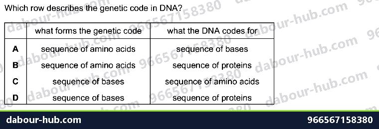IGCSE Biology 17.1 DNA, Chromosomes, genes and ALLELES (X, Y) - Question 8