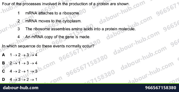 IGCSE Biology 17.2 Protein Synthesis - Question 2