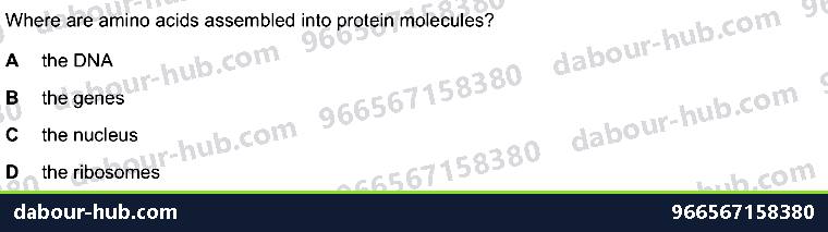 IGCSE Biology 17.2 Protein Synthesis - Question 21