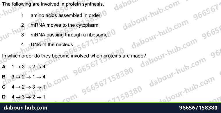 IGCSE Biology 17.2 Protein Synthesis - Question 3