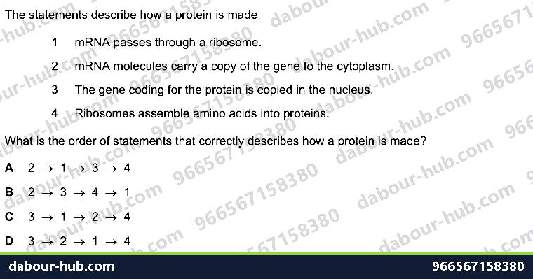 IGCSE Biology 17.2 Protein Synthesis - Question 6