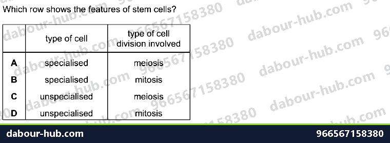 IGCSE Biology 17.3 MITOSIS, stem cell - Question 13