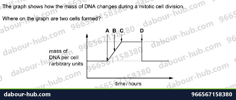 IGCSE Biology 17.3 MITOSIS, stem cell - Question 15