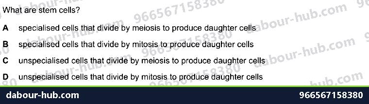 IGCSE Biology 17.3 MITOSIS, stem cell - Question 4