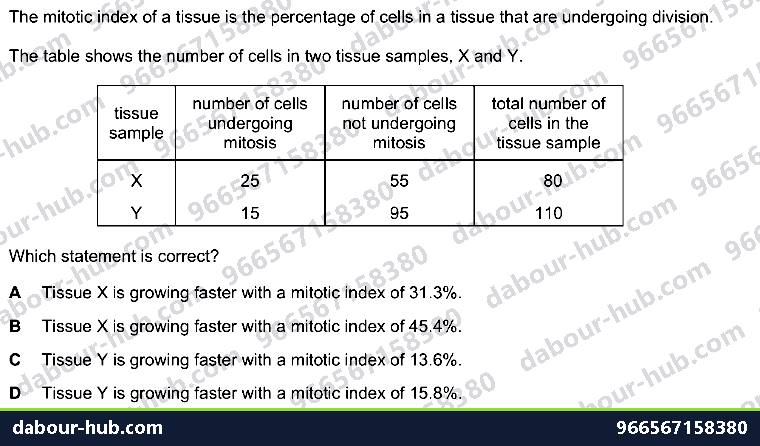 IGCSE Biology 17.3 MITOSIS, stem cell - Question 7