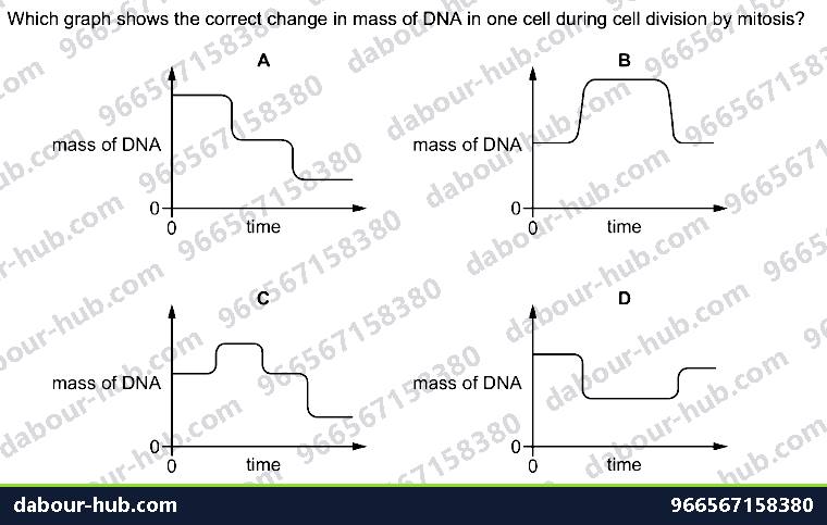 IGCSE Biology 17.3 MITOSIS, stem cell - Question 8