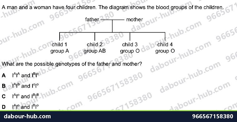 IGCSE Biology 17.6 Pedigree and Punnett squares - Question 11