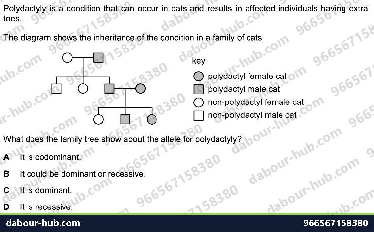 IGCSE Biology 17.6 Pedigree and Punnett squares - Question 14