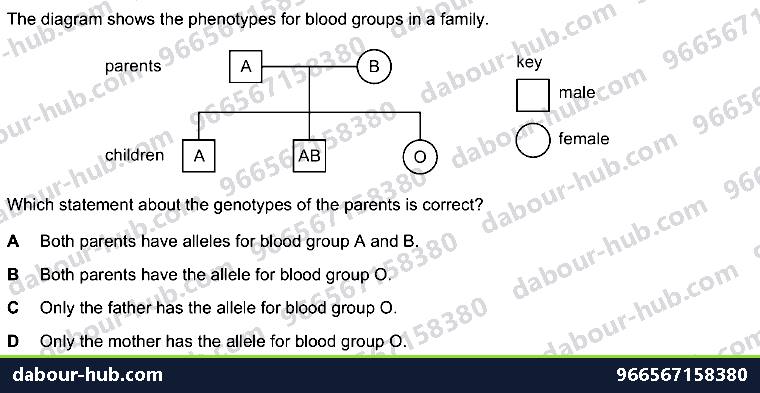 IGCSE Biology 17.6 Pedigree and Punnett squares - Question 6