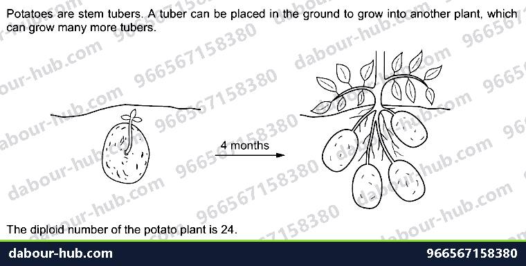 IGCSE Biology 18.1 Continuous and discontinuous variation - Question 12