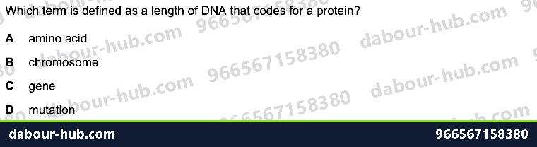 IGCSE Biology 18.2 Mutation - Question 1
