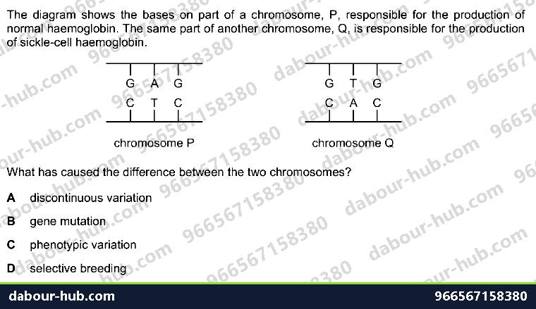 IGCSE Biology 18.2 Mutation - Question 3