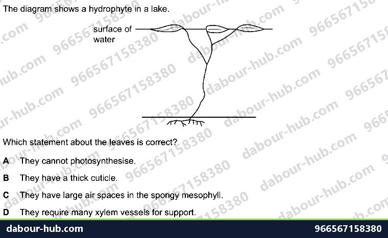 IGCSE Biology 18.3 Adaptive features - Question 14