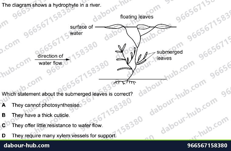 IGCSE Biology 18.3 Adaptive features - Question 3