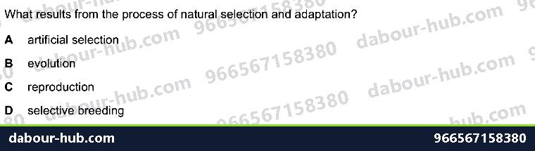 IGCSE Biology 18.4 Selection - Question 8