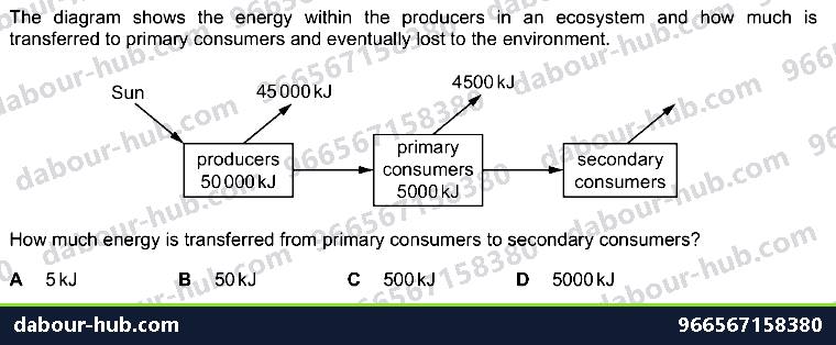 IGCSE Biology 19.1 Energy flow and consumers - Question 11