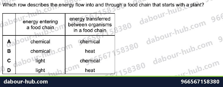 IGCSE Biology 19.1 Energy flow and consumers - Question 12