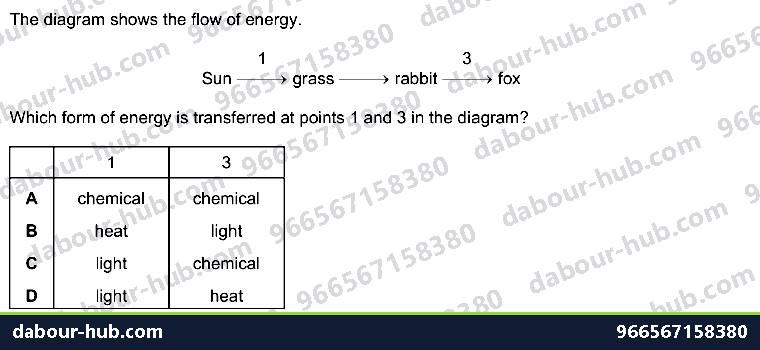 IGCSE Biology 19.1 Energy flow and consumers - Question 14