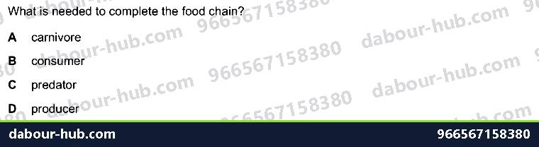 IGCSE Biology 19.1 Energy flow and consumers - Question 2