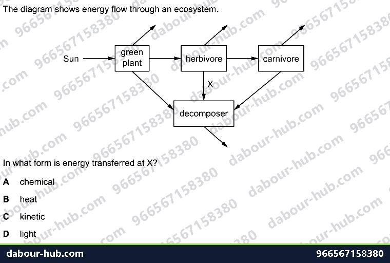 IGCSE Biology 19.1 Energy flow and consumers - Question 7