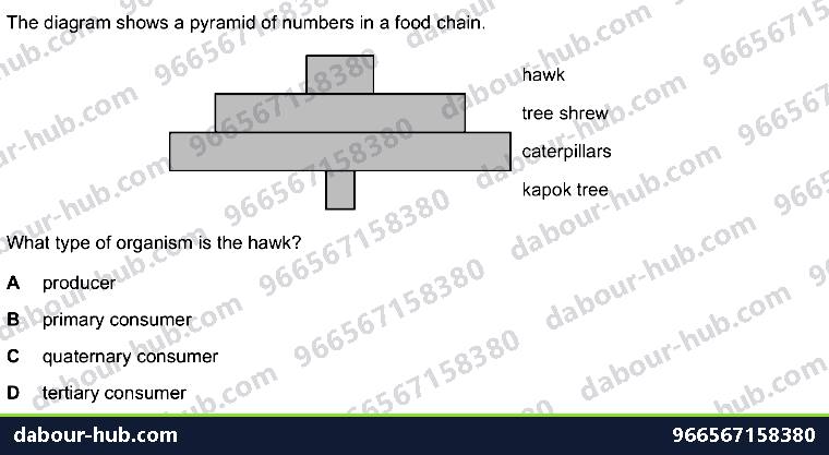 IGCSE Biology 19.2 Food chains, food webs and pyramids - Question 1