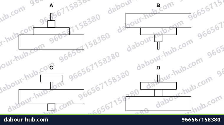 IGCSE Biology 19.2 Food chains, food webs and pyramids - Question 3