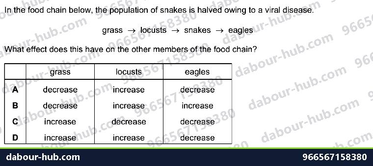 IGCSE Biology 19.2 Food chains, food webs and pyramids - Question 4