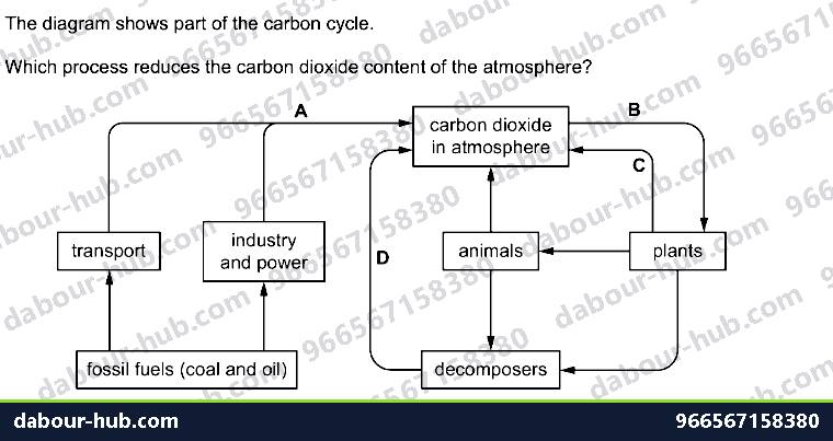 IGCSE Biology 19.3 The carbon cycle - Question 1