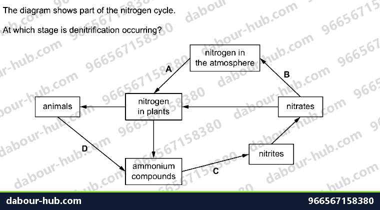 IGCSE Biology 19.4 The nitrogen cycle - Question 1