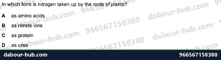 IGCSE Biology 19.4 The nitrogen cycle - Question 10