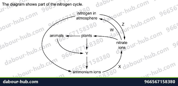 IGCSE Biology 19.4 The nitrogen cycle - Question 11